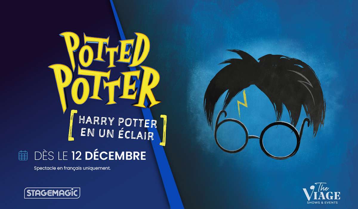 Potted Potter, Harry Potter en un éclair