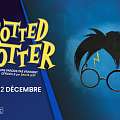 Potted Potter, une parodie pas vraiment officielle par Dan & Jeff